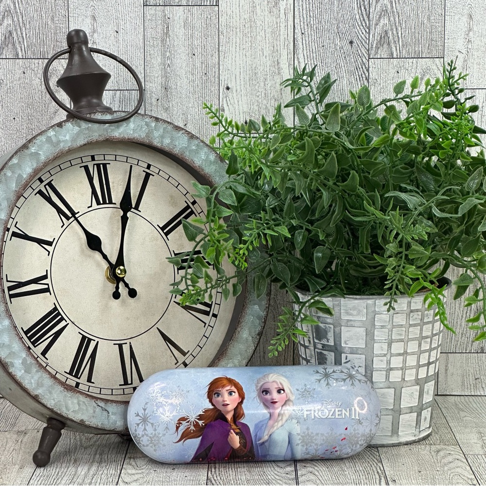 DISNEY - Frozen II Kids Glasses Case